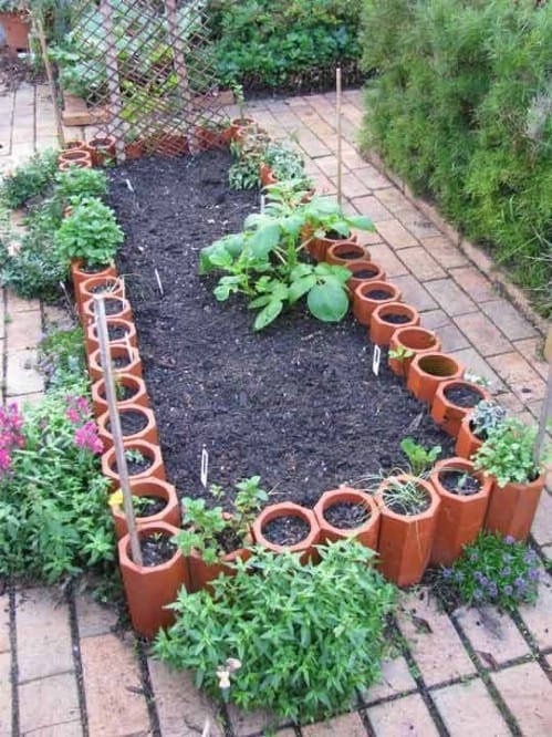 backyard-gardening-space