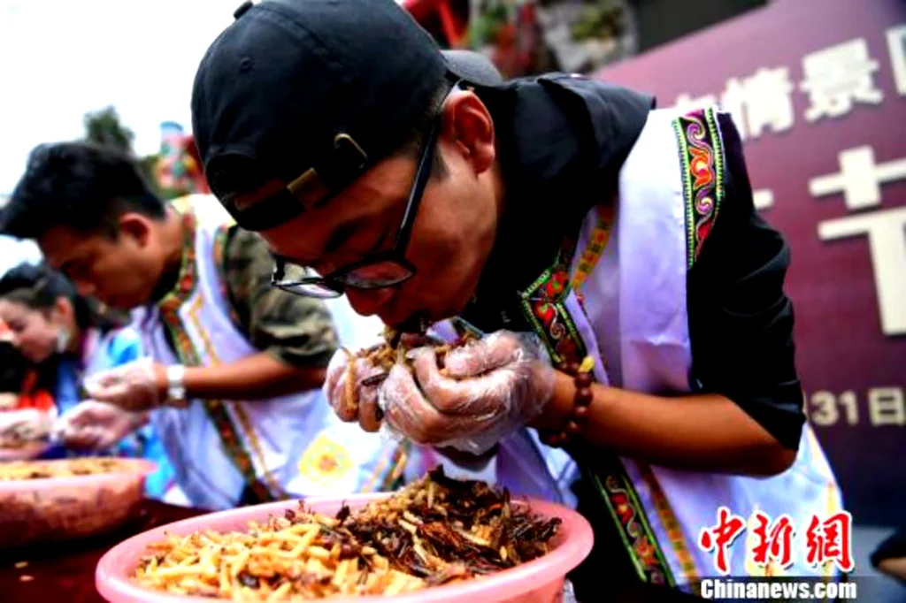 chinese man insect eating