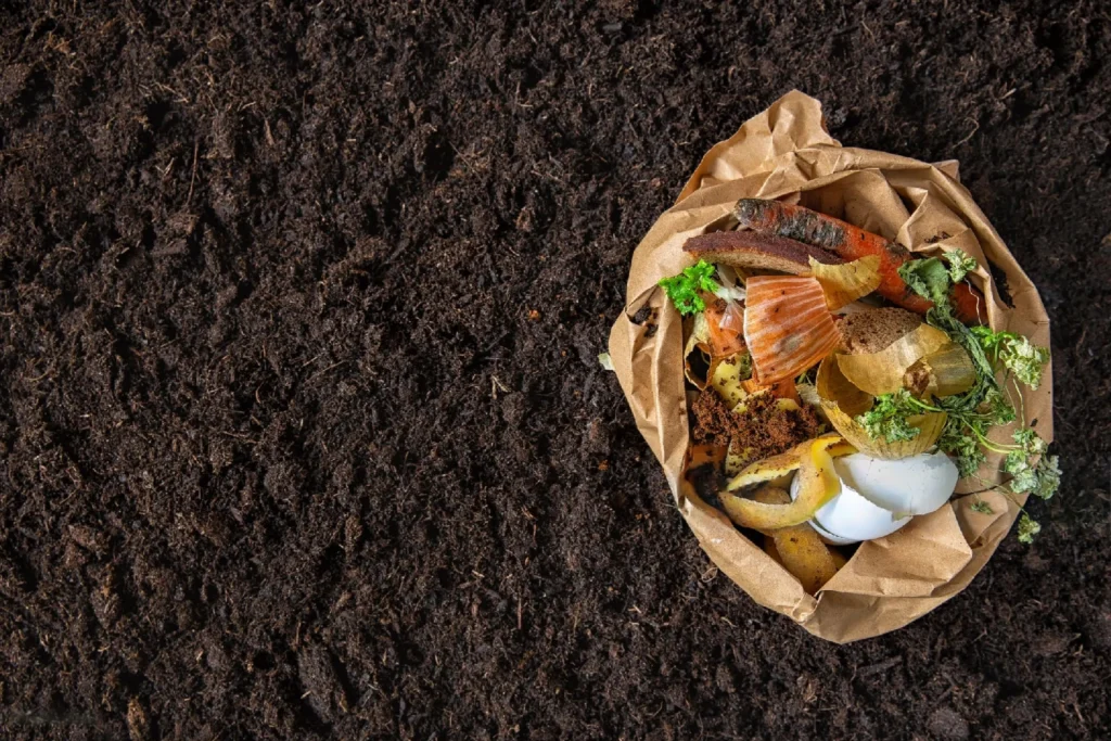 sustianable-composting
