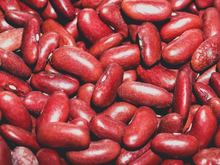 Organic Red Kidney Beans: The Nutritional Powerhouse red kidney beans