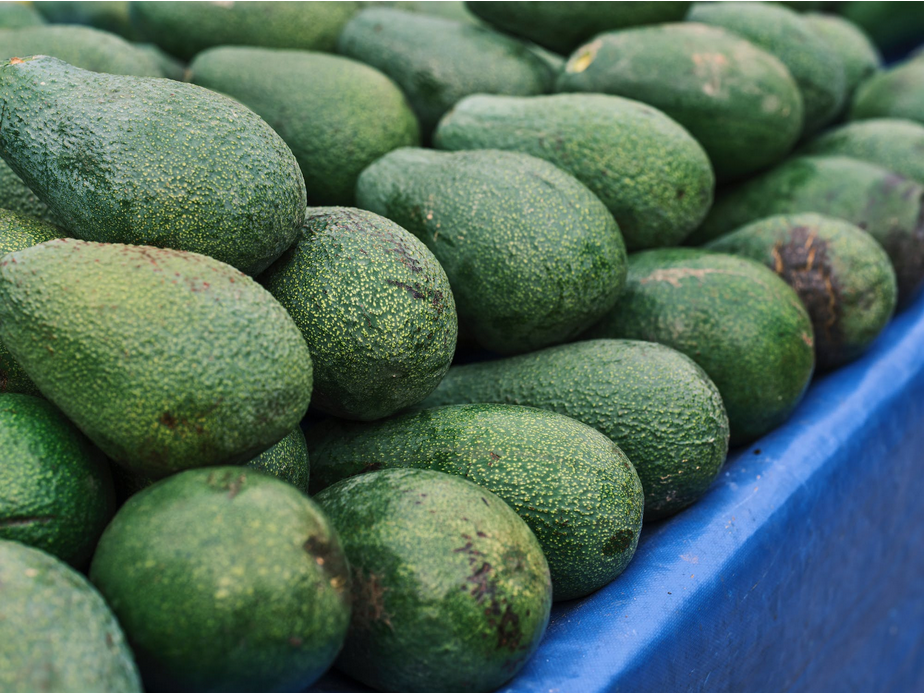 organic avocado storing