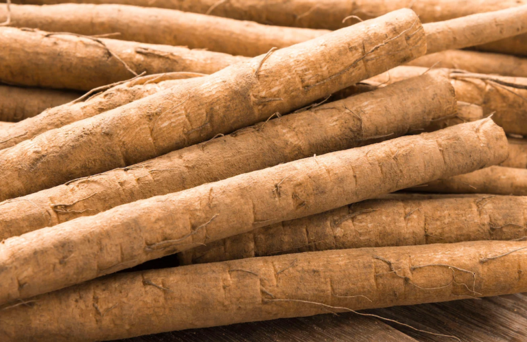 burdrock root