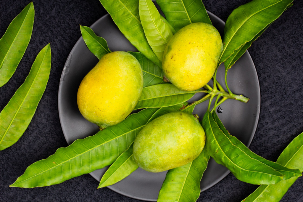 health benefits of mango leaves