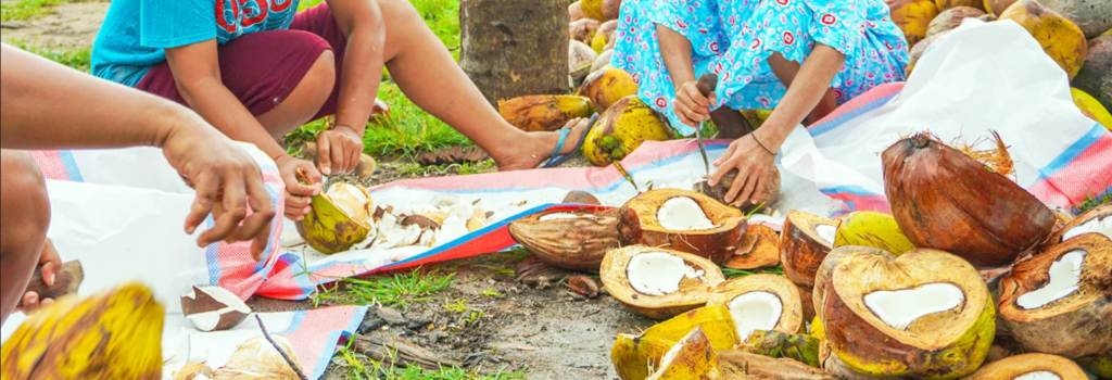 coconut granola sustainability
