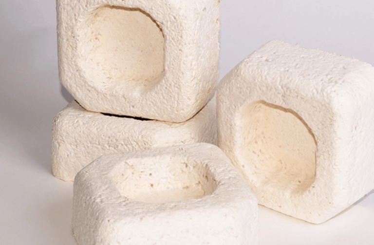 mushroom packaging