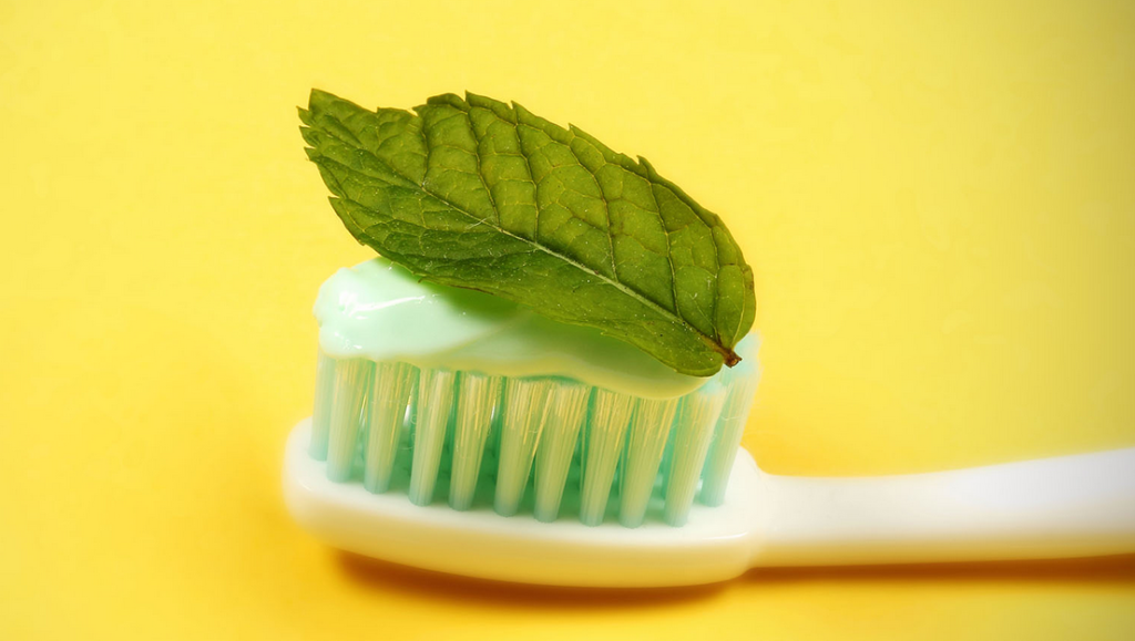 herbal organic eco-friendly toothpaste