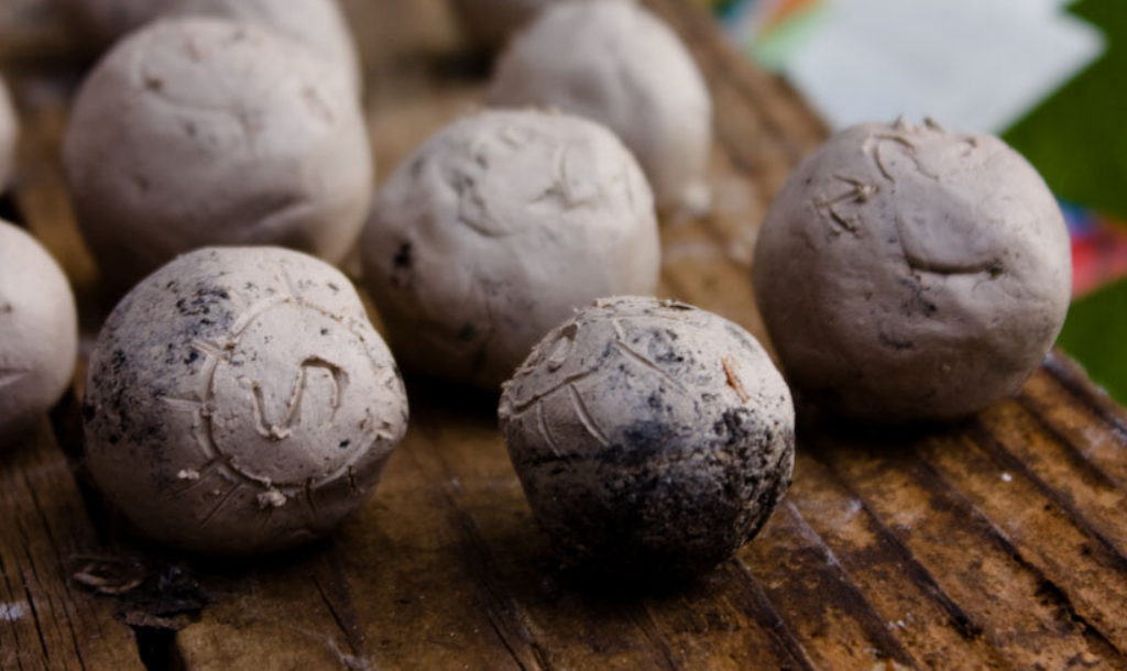 seed bombs natural

